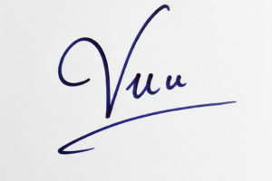 Mẫu chữ ký tên Vũ số 1